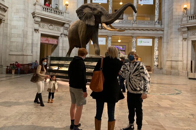 Smithsonian Museum of Natural History Guided Tour - How the guide changes the museum from a maze into a story