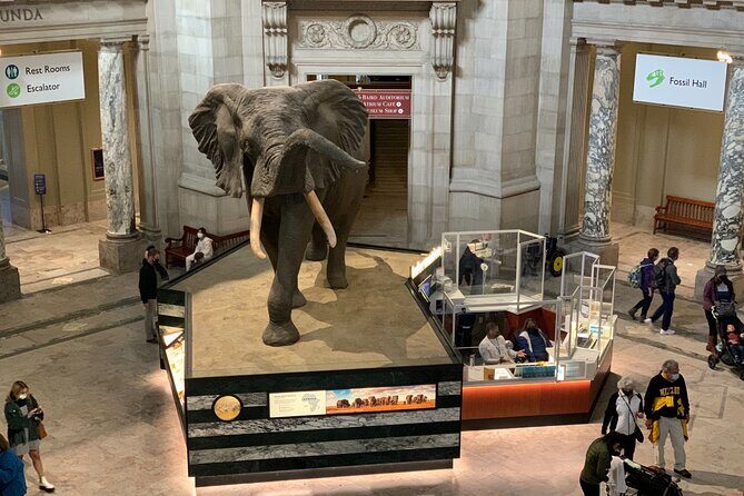 Smithsonian Museum of Natural History Guided Tour - “2 hours” sounds short. Here’s what you gain anyway.