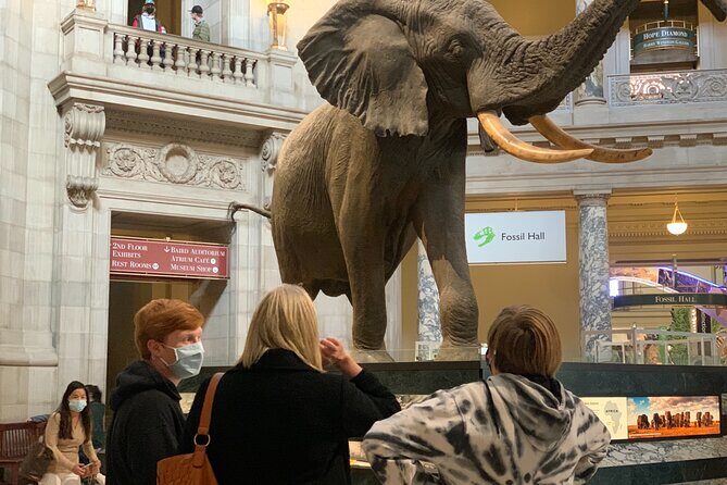 Smithsonian Museum of Natural History Guided Tour - Price and value: is $75 worth it?