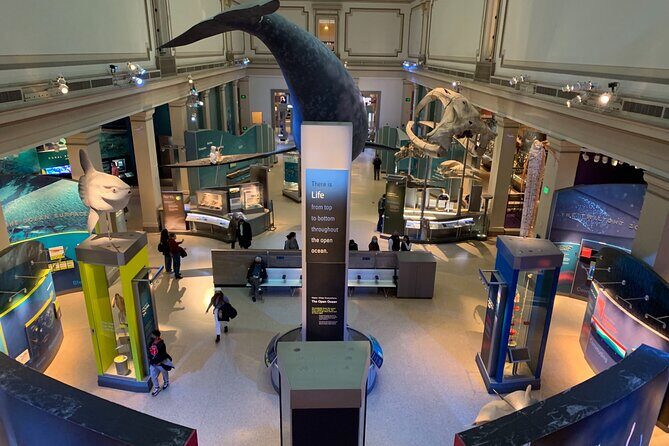 Smithsonian Museum of Natural History Guided Tour - What you’ll actually do during the 2-hour guided portion