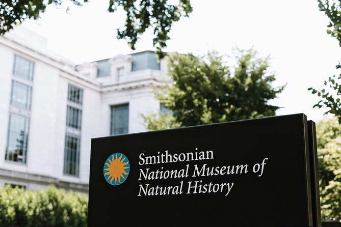 Smithsonian Museum of Natural History Small Group Tour: 8ppl Max - Ancient Egypt mummies: real objects and death-ritual context