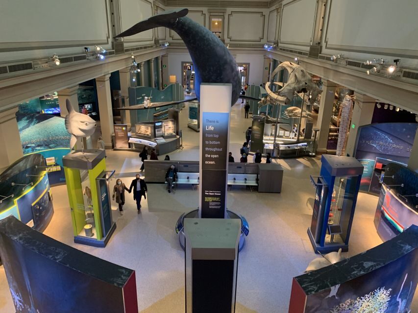 Smithsonian National Museum of Natural History Guided Tour - Key reasons this guided tour works