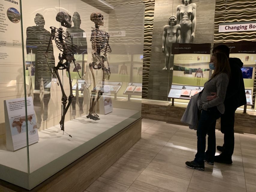 Smithsonian National Museum of Natural History Guided Tour - Smithsonian speedrun: why a guide makes sense here