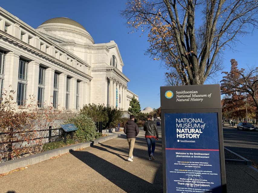 Smithsonian National Museum of Natural History Guided Tour - The museum’s main attraction: over 145 million specimens, in human time