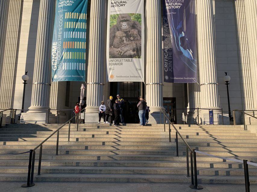 Smithsonian National Museum of Natural History Guided Tour - Dinosaurs first: why fossil stops change the whole visit