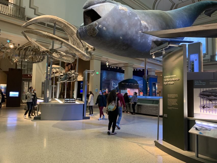 Smithsonian National Museum of Natural History Guided Tour - Human artifacts, tools, and the mummy contrast you didn’t expect