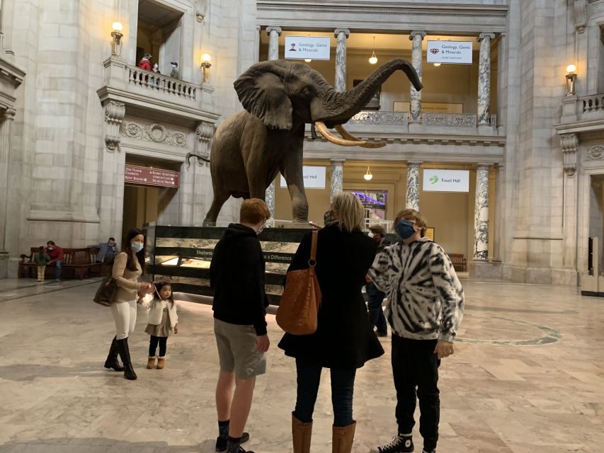 Smithsonian National Museum of Natural History Guided Tour - The 2-hour plan: what you can realistically accomplish