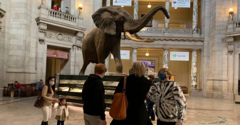 Smithsonian National Museum of Natural History Guided Tour - Where you meet and how you avoid the start-up stress