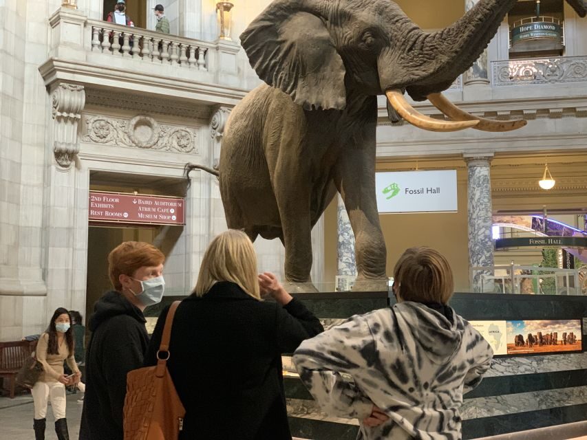 Smithsonian National Museum of Natural History Guided Tour - Price and value: $75 when the museum entry is free