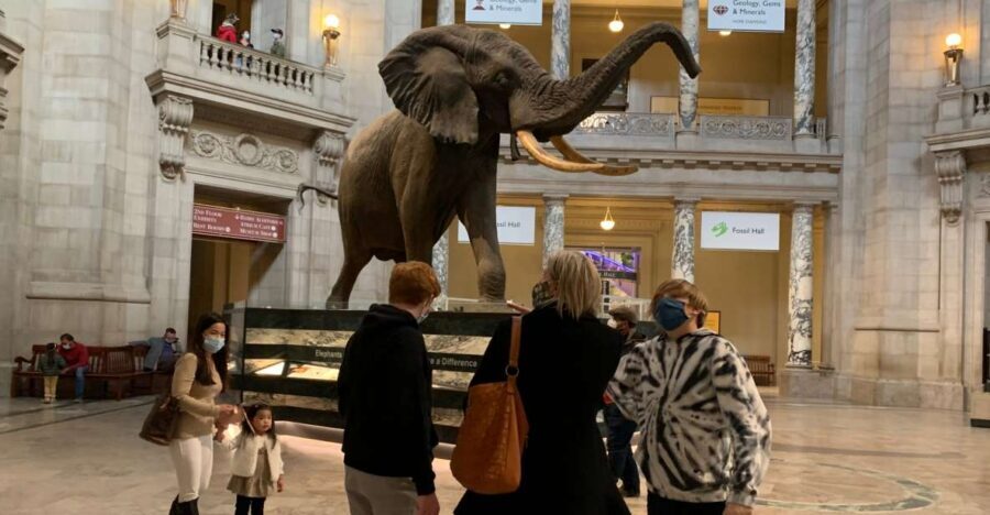 Smithsonian National Museum of Natural History Guided Tour - Where you meet and how you avoid the start-up stress