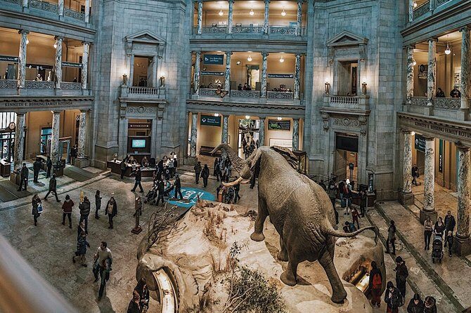 Smithsonian Natural History + Museum of American History 8ppl Max - Natural History Museum Stop: Henry the Elephant, Fossil Hall, and the Hope Diamond