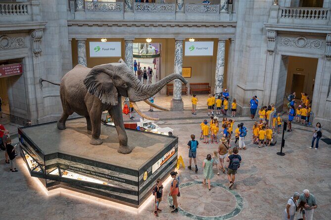 Smithsonian Natural History Museum Semi-Private Guided Tour - Key highlights at a glance