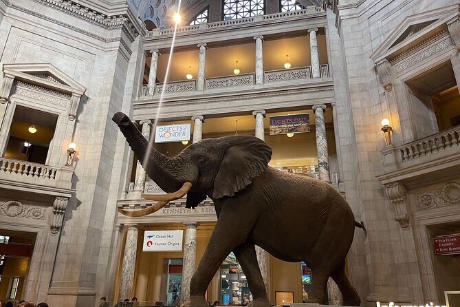 Smithsonian Natural History Museum Semi-Private Guided Tour - Price and what you get for $129 in 2 hours