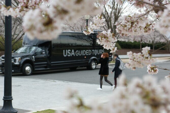 The DC Cherry Blossom Bus Tour with Tidal Basin Guided Walk - Why this cherry blossom bus-and-walk route works in real life