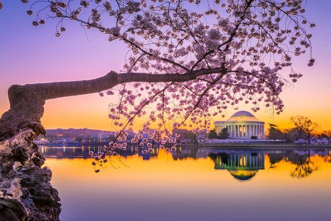 The DC Cherry Blossom Bus Tour with Tidal Basin Guided Walk - Meeting at US Navy Memorial Plaza and getting underway at 10:00 am
