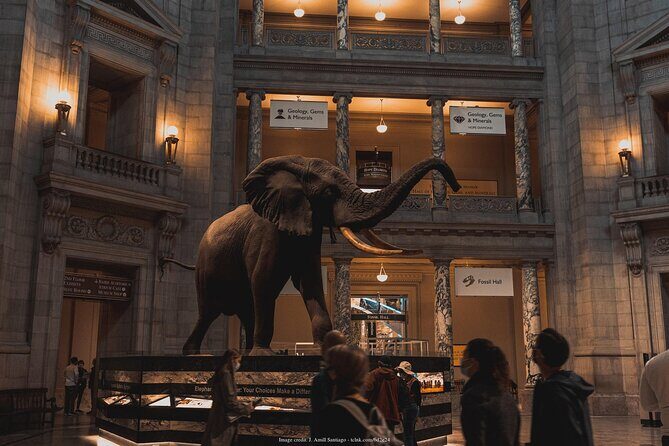Two Smithsonian Museums Private Tour: American & Natural History - Natural History Museum: Hope Diamond, T-Rex, and ecosystems in two hours