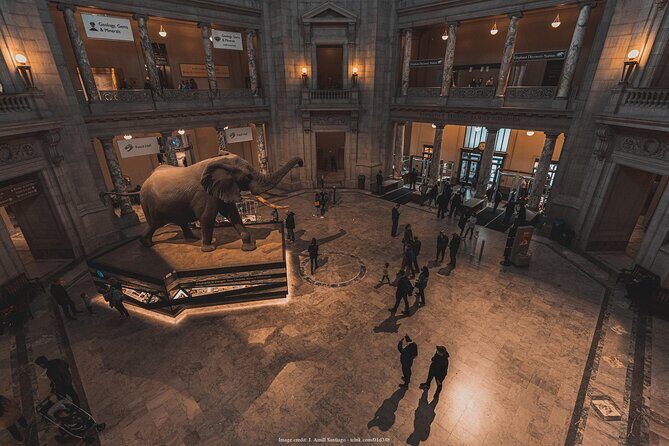 Two Smithsonian Museums Private Tour: American & Natural History - The private guide advantage: how great tours avoid time waste