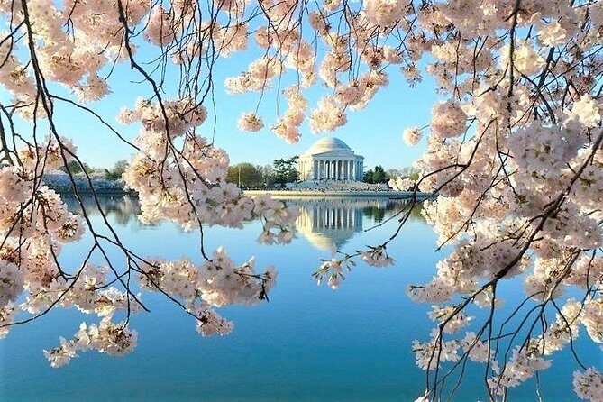 Ultimate Private City Tour of Washington DC - Up to 5 Guests - The Route Works: Stop-by-Stop on the DC Highlights Circuit