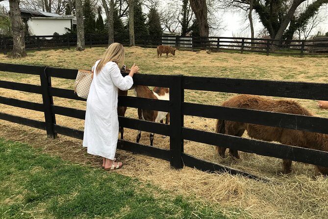 Virginia Wineries Guided Tour and Tastings from Washington DC - Key highlights worth clocking before you book