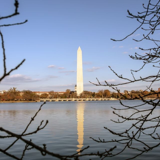 Washington: Cherry Blossom Tour - Why this Washington DC cherry blossom tour feels efficient