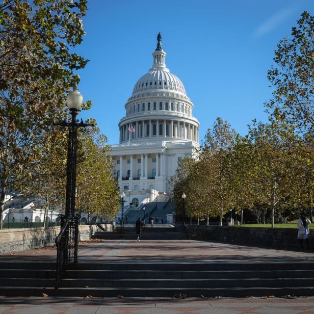 Washington: Cherry Blossom Tour - The Lincoln Memorial stop: a fast orientation and photo chance
