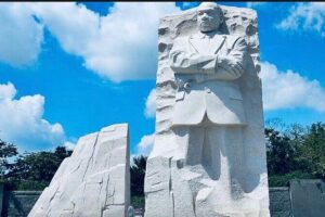 Washington, D.C. Private 4-Hour Day Tour - Capitol Hill stops: the fast intro to US democracy