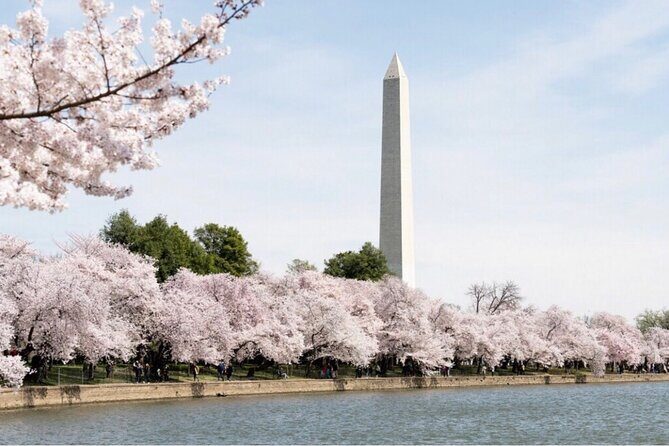 Washington, D.C. Private 4-Hour Day Tour - Timing, photos, and what to bring for a smooth day