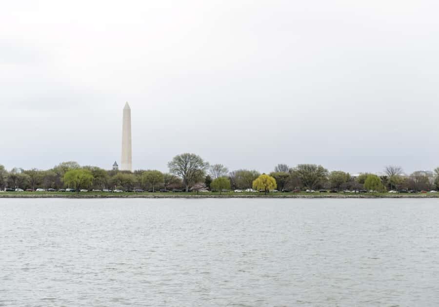 Washington DC: 1 or 2-Day Unlimited Water Taxi Pass - Stop-by-Stop: What Each Waterfront Area Gives You