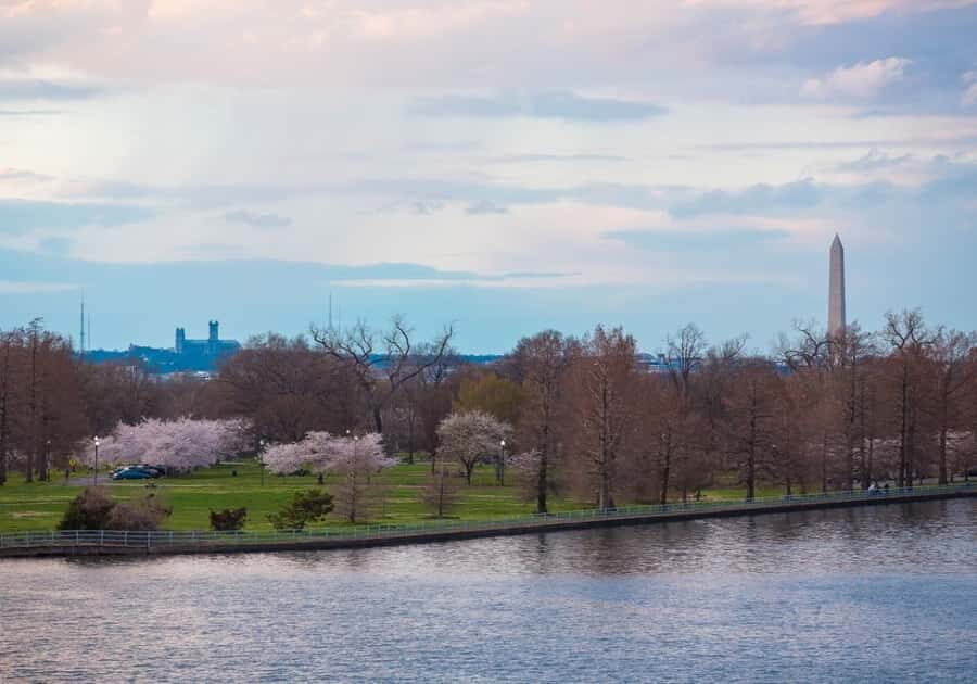 Washington DC: 1 or 2-Day Unlimited Water Taxi Pass - Timing Tips: How to Plan Your Day Around Boat Schedule Energy