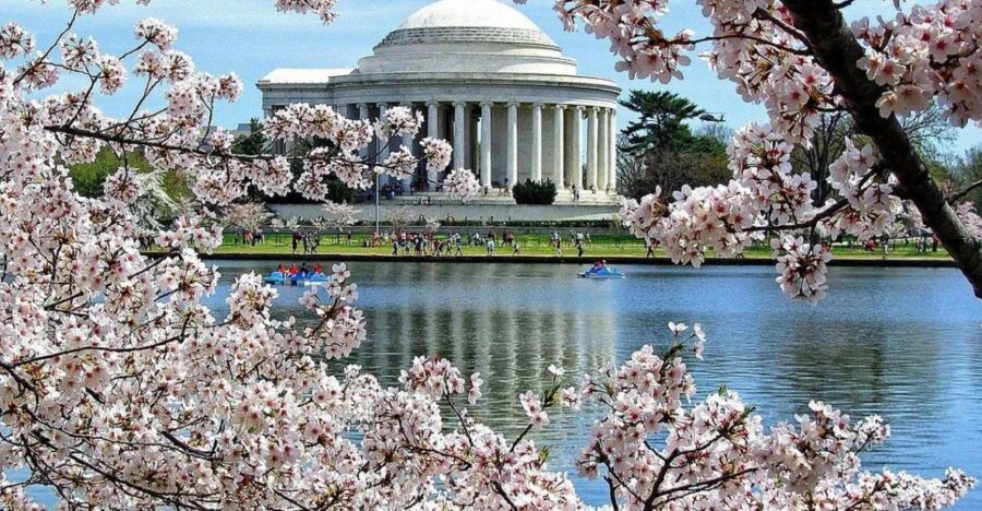 Washington DC: Cherry Blossom Walking Tour - Lincoln Memorial: Learning the Meaning Behind the Monument