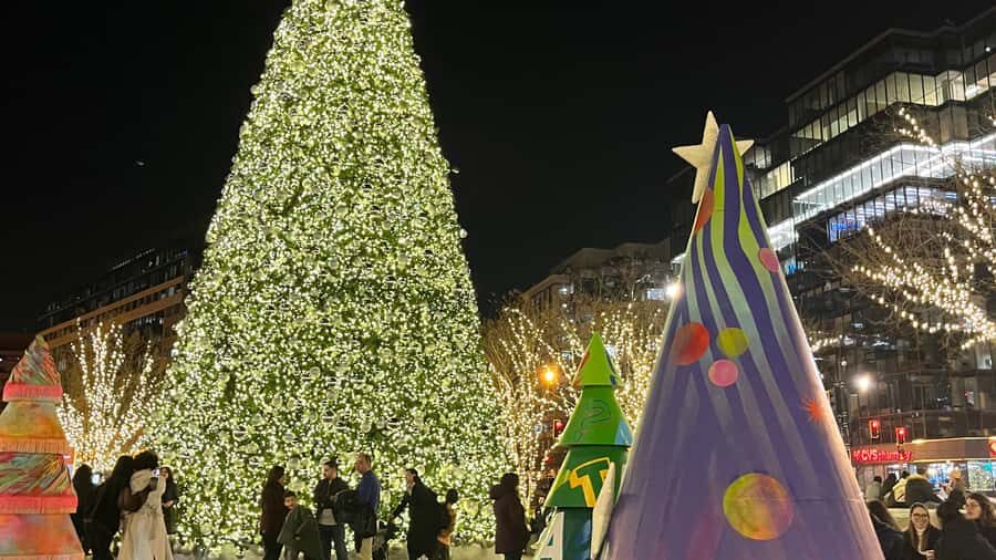 Washington, DC: Christmas Tree & Holiday Lights Bus Tour - Key things to know before you go