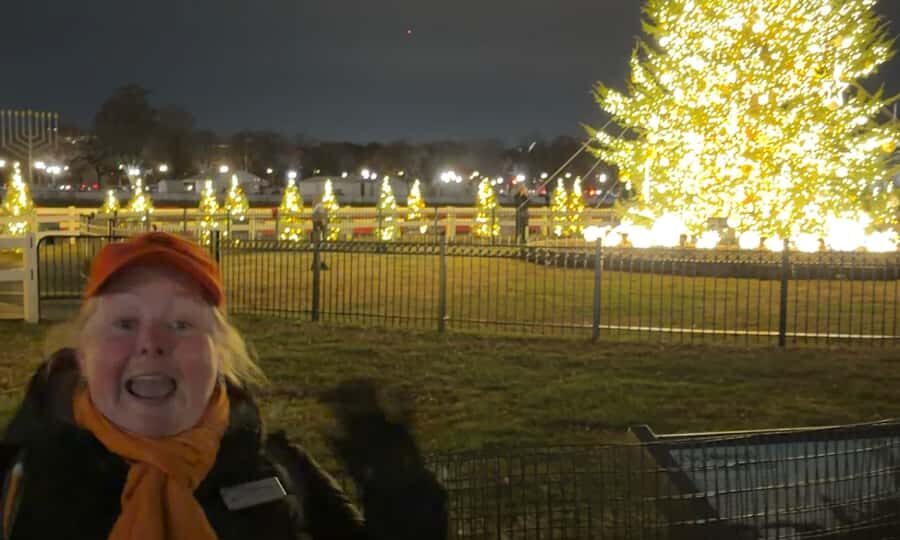 Washington, DC: Christmas Tree & Holiday Lights Bus Tour - National Christmas Tree and the Pathway of Peace
