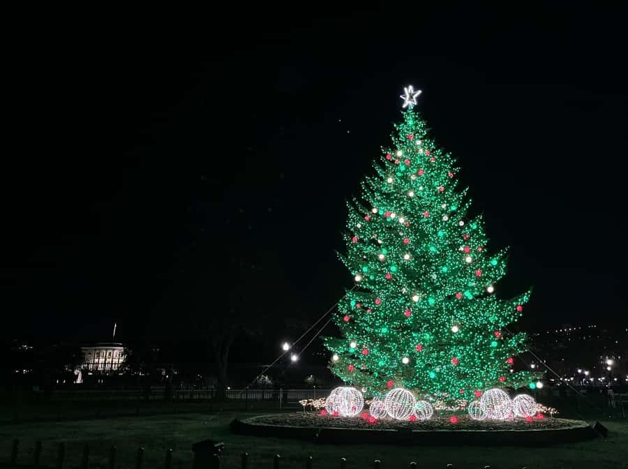 Washington, DC: Christmas Tree & Holiday Lights Bus Tour - Festival of Lights and the National Menorah during Hanukkah