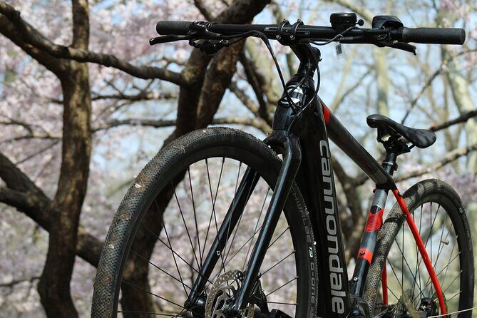 Washington DC eBike Rental with Helmet and Handlebar Bag for 16+ - The Potomac River and trails: your reset button between monuments