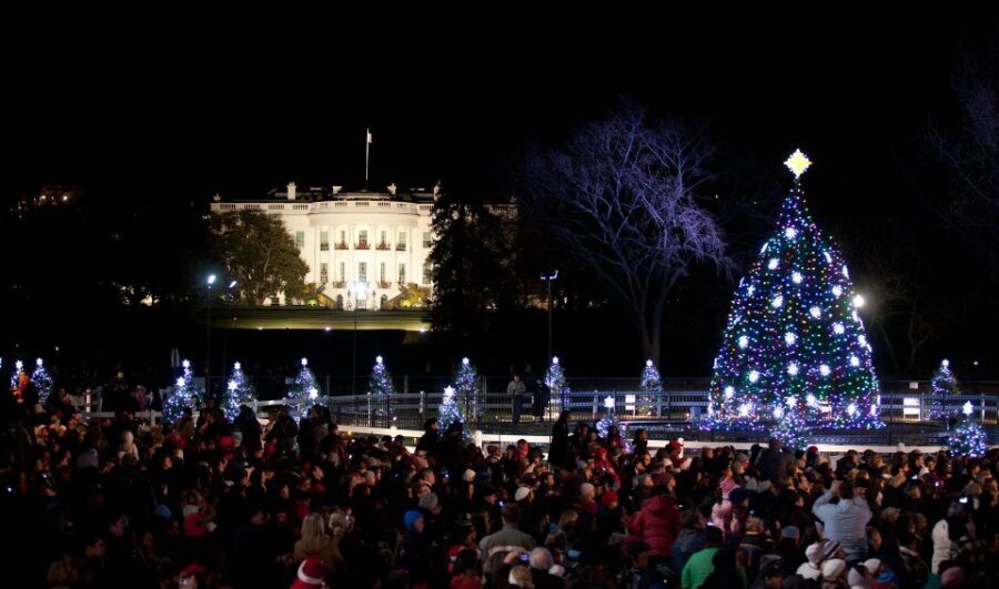 Washington, DC: Holiday Lights Nighttime Bus Tour - Back in DC: Capitol Christmas Tree and the Canadian Embassy Photo Stop