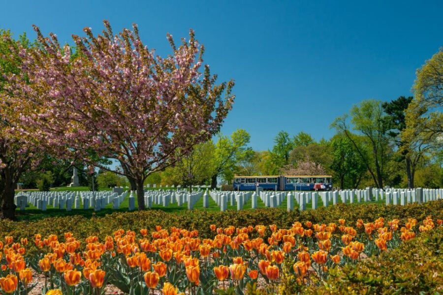 Washington, DC: Hop-On Hop-Off Old Town Trolley City Tour - The City Tour route: what you’ll see around the National Mall and beyond