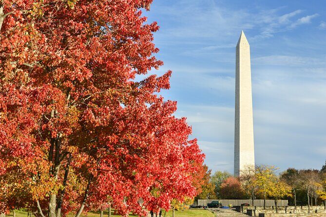 Washington DC Monuments Self-Guided Walking Audio Tour - What you’re really paying $16.99 for (and why it’s fair)