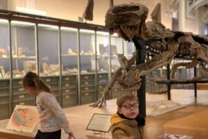Washington DC Museum of Natural History Private Family tour - Getting there: meeting at 10th Street NW & Constitution Ave NW