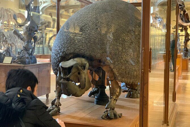 Washington DC Museum of Natural History Private Family tour - How the 2-hour private tour is likely to feel inside the museum