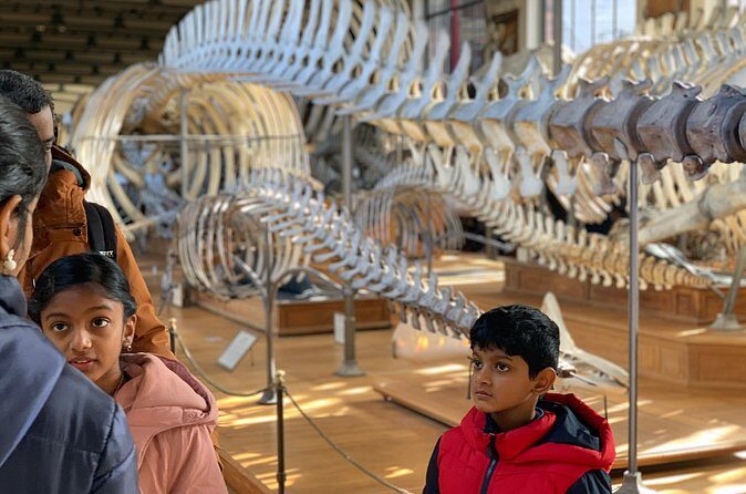 Washington DC Museum of Natural History Private Family tour - Customizing the route: ask questions without feeling rushed