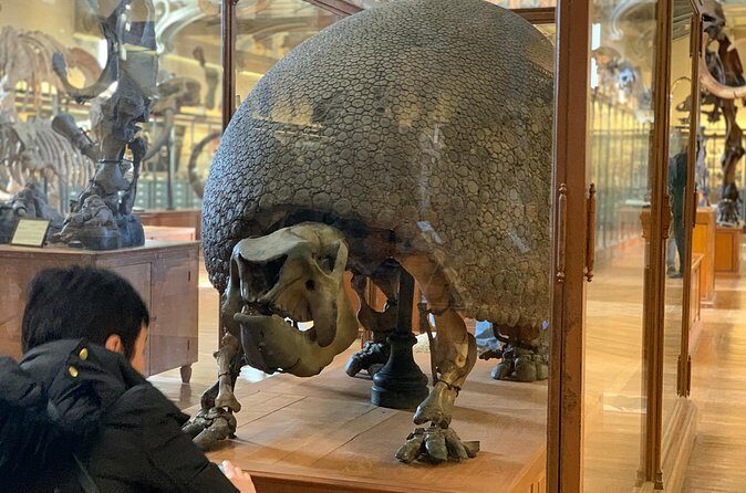 Washington DC Museum of Natural History Private Family tour - Who this family tour is best for