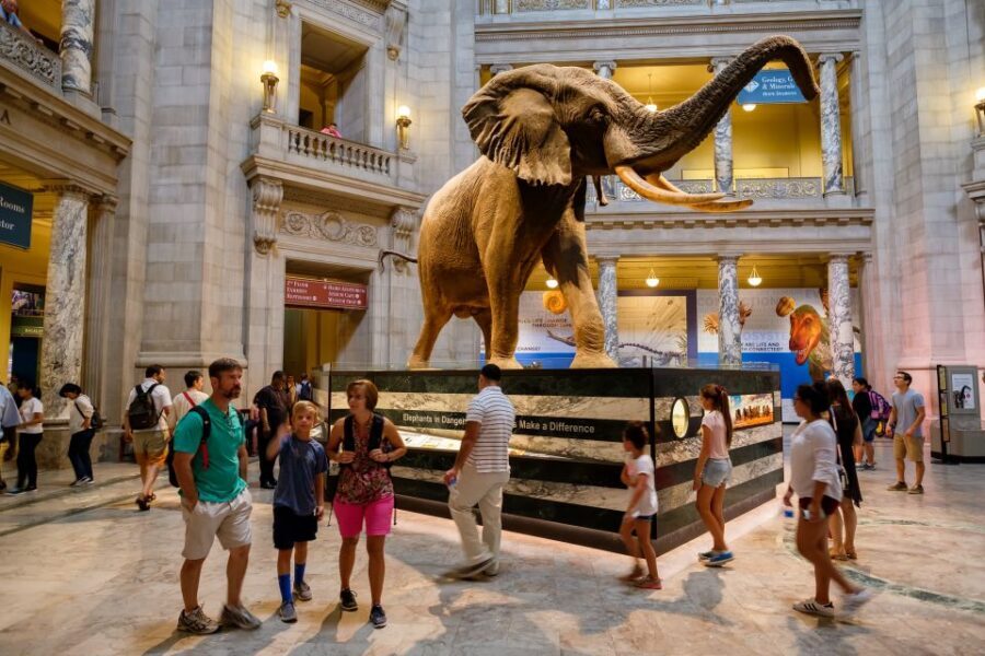 Washington DC: Museum of Natural History Private Guided Tour - Quick Take: What Makes This Private Natural History Tour Worth Your Time?
