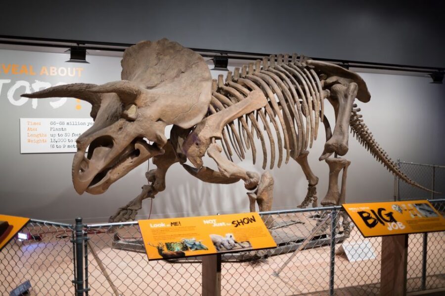 Washington DC: Museum of Natural History Private Guided Tour - Your 2-Hour Plan at the Smithsonian Natural History Museum