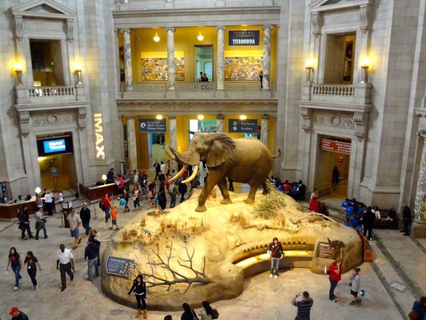 Washington DC: Museum of Natural History Private Guided Tour - The Insect Zoo Stop: Turning a Museum Break into a Memory