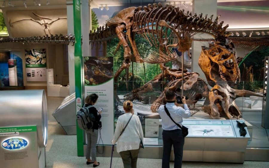 Washington DC: Museum of Natural History Private Guided Tour - Customizing the Tour: How to Get a Route That Actually Fits