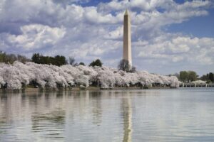 Washington DC: Must See Sights Half-Day Tour - Capitol and White House photo stops without the long waits