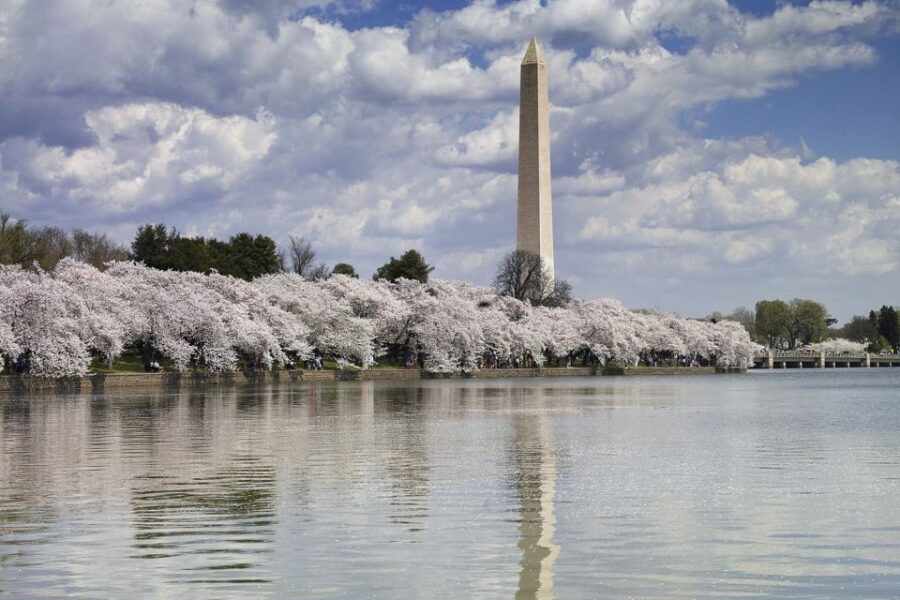 Washington DC: Must See Sights Half-Day Tour - Capitol and White House photo stops without the long waits