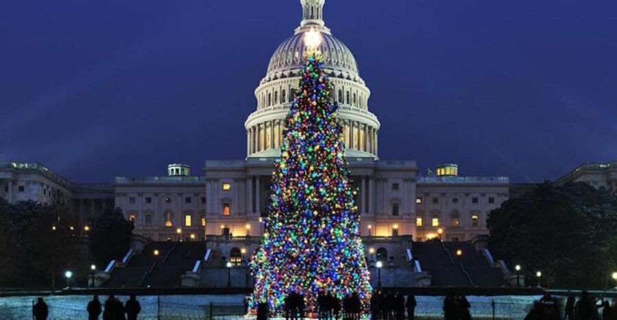 Washington, DC: National Mall and Memorials Moonlight Tour - Key things to know before you go
