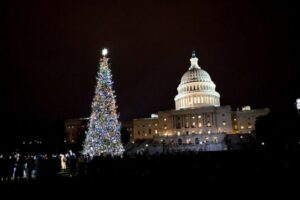 Washington, DC: National Mall and Memorials Moonlight Tour - Timing the night: when to arrive and how the tour flows