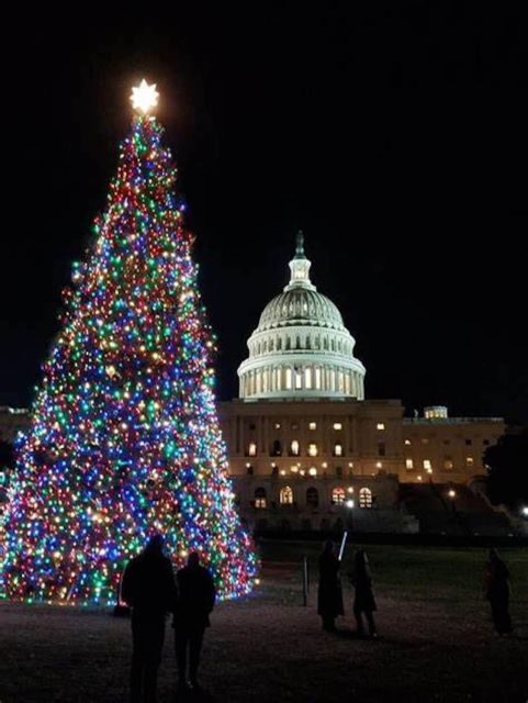 Washington, DC: National Mall and Memorials Moonlight Tour - Optional ticket add-ons: museums and Washington Monument entries